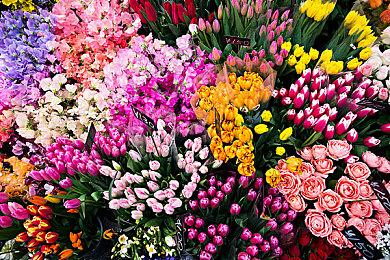 《要塞：决定版》不到三天售出10万套 Steam获特别好评