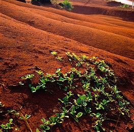 《宝可梦GO》发布5周年纪念视频 庆典活动现已开始
