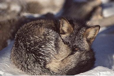 虚惊一场 重生回应《泰坦陨落2》安全隐患传闻 